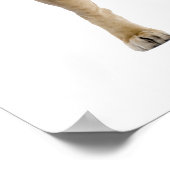 Image de connexion pour poster (Coin)