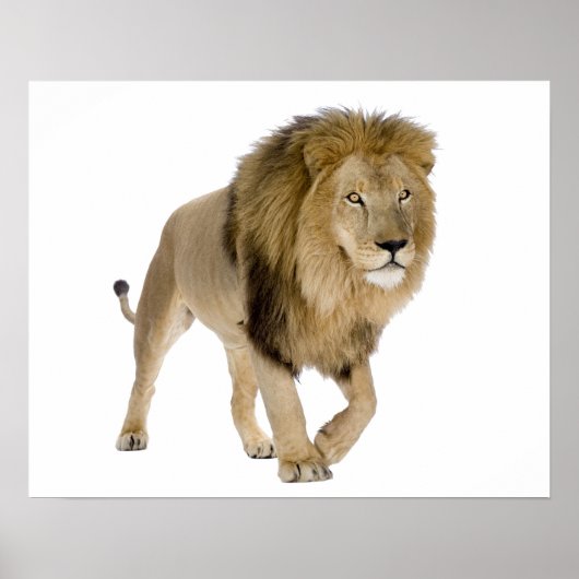 Image de connexion pour poster (Devant)