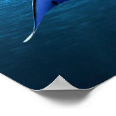 Image de Fish pour affiche (Coin)