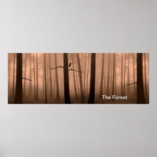 Image de la forêt pour Poster (Devant)