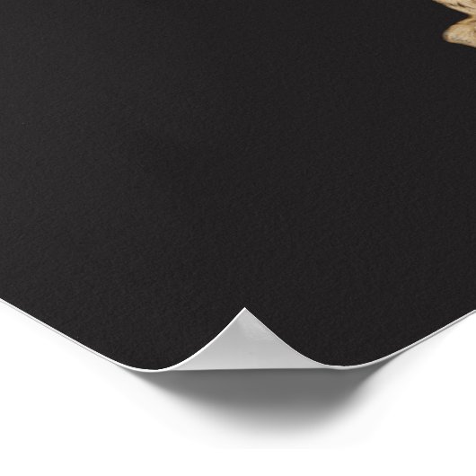 Image de l'animal pour affiche (Coin)