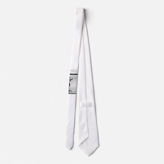 Image de pêche en vol pour la Cravate (Dos)