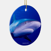 Image de requin pour ornement circulaire (Droite)