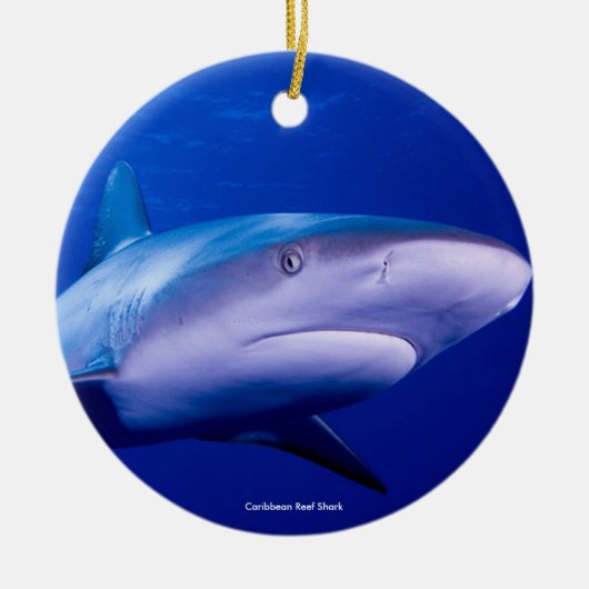 Image de requin pour ornement circulaire (Devant)