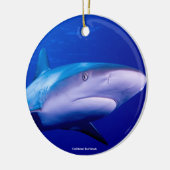 Image de requin pour ornement circulaire (Gauche)