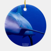 Image de requin pour ornement circulaire (Dos)