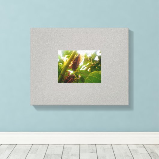 Image de toile de campagne de verrou (Insitu (Plancher de Bois))