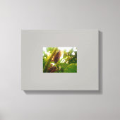 Image de toile de campagne de verrou (Recto)