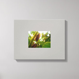 Image de toile de campagne de verrou