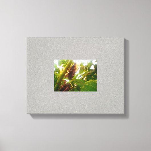 Image de toile de campagne de verrou (Recto)