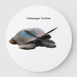 Image de tortue pour horloge ronde