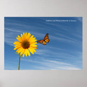 Image de tournesol pour Poster