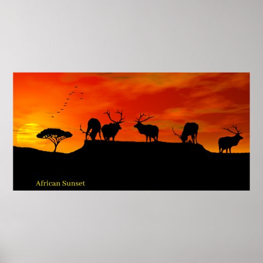 Image du coucher de soleil africain pour Poster (Devant)