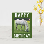 Image d'un cheval blanc sur une carte d'anniversai (Fleur jaune)