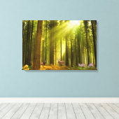 Image Forêt et cerf pour toile enveloppée Pr (Insitu (Plancher de Bois))