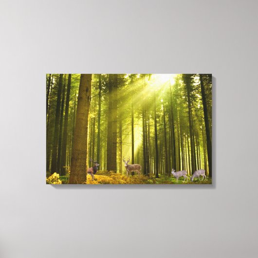 Image Forêt et cerf pour toile enveloppée Pr (Recto)