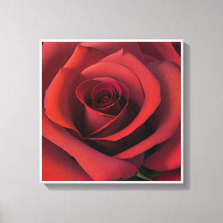 Image imprimée sur toile pour de belles couleurs, 