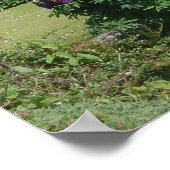 Image irlandaise de Poster (Coin)