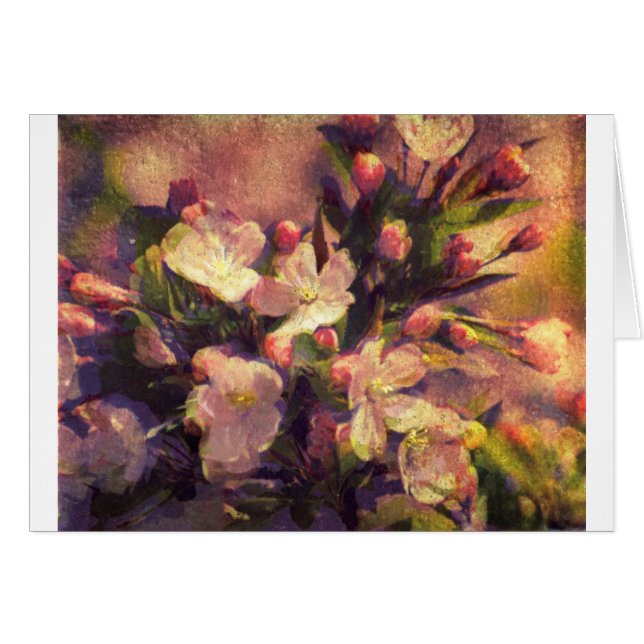 Image Painterly de fleur de Crabapple (Devant horizontal)