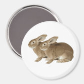 Image Rabbit pour grand aimant rond (Recto/Verso)