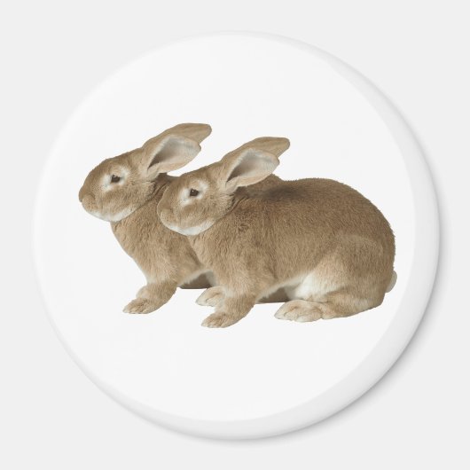 Image Rabbit pour grand aimant rond (Devant)