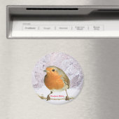 Image Robin pour grand aimant rond (In Situ (Lave-vaisselle))