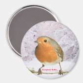 Image Robin pour grand aimant rond (Recto/Verso)