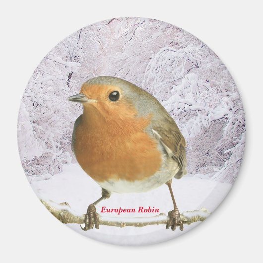 Image Robin pour grand aimant rond (Devant)