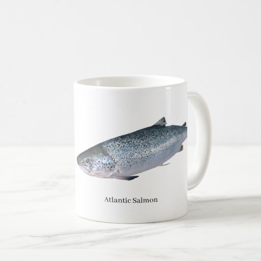 Image saumon pour Mug (Devant droit)