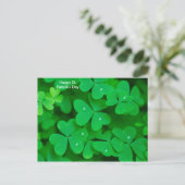 Image shamrock pour carte postale (Debout devant)