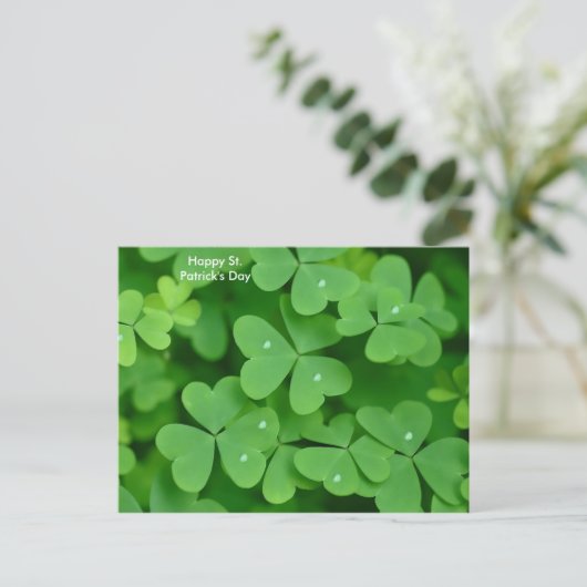 Image shamrock pour carte postale (Debout devant)