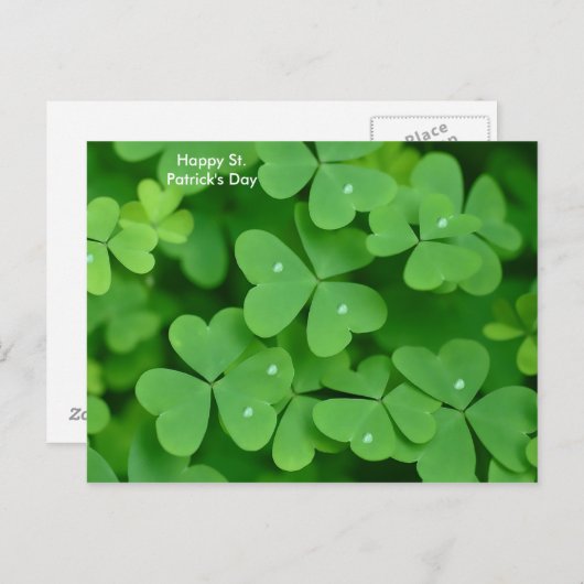 Image shamrock pour carte postale (Devant / Derrière)