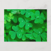 Image shamrock pour carte postale (Devant)