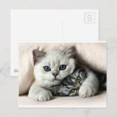 imagem de gata e filho briefkaart (Voorkant / Achterkant)