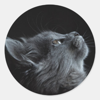 imagem que combina com qualquer escolha de colagem ronde sticker