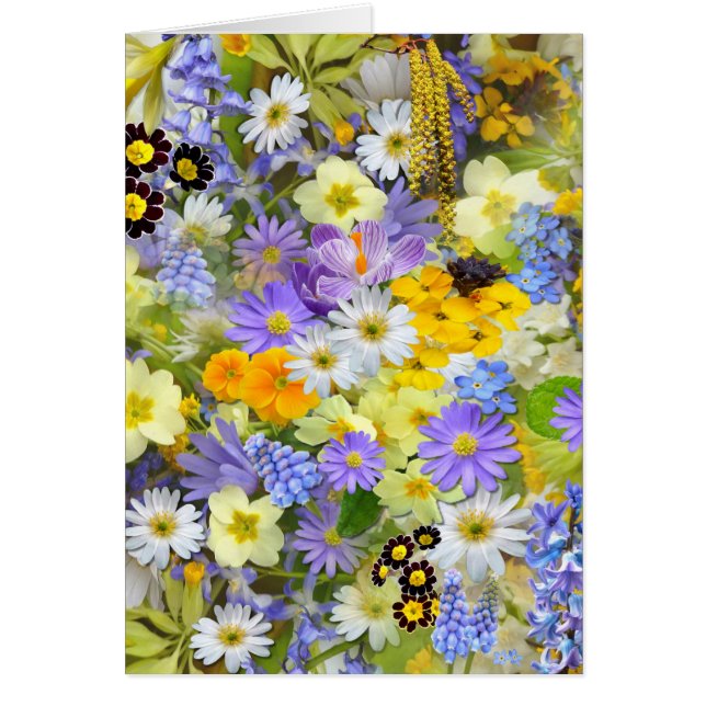 images avec tu fleuris (Devant)