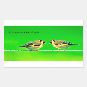 Images de faune pour autocollants rectangle