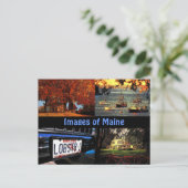 Images de la carte postale du Maine (Debout devant)