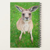 Images Getty | Baby Kangaroo (Dos)