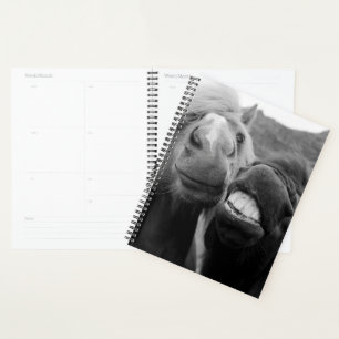 Images Getty Chevaux souriants