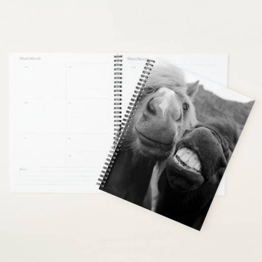 Images Getty | Chevaux souriants (Devant avec enveloppe)