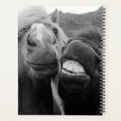 Images Getty | Chevaux souriants (Dos)