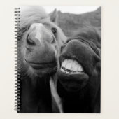 Images Getty | Chevaux souriants (Devant)