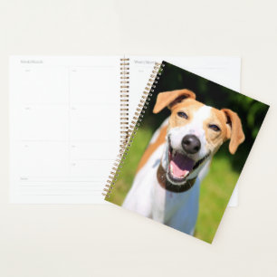Images Getty Chien riant