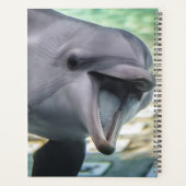 Images Getty | Dauphin (Dos)