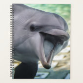 Images Getty | Dauphin (Devant)