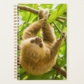 Images Getty | Derrière (Devant)