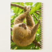 Images Getty | Derrière (Dos)