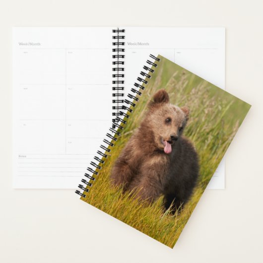 Images Getty | Drôle bébé ours (Devant avec enveloppe)
