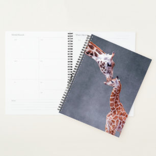Images Getty Mère et bébé Giraffe